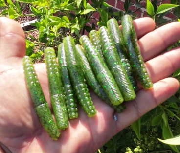 2.7" Ned Worms Bullfrog Color (8 pack)