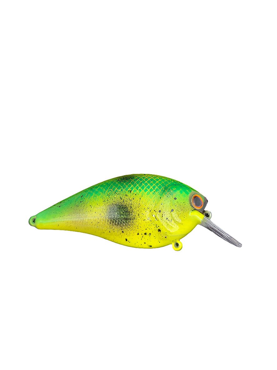 3" Custom Painted Squarebill Crankbait Electric Shad Color