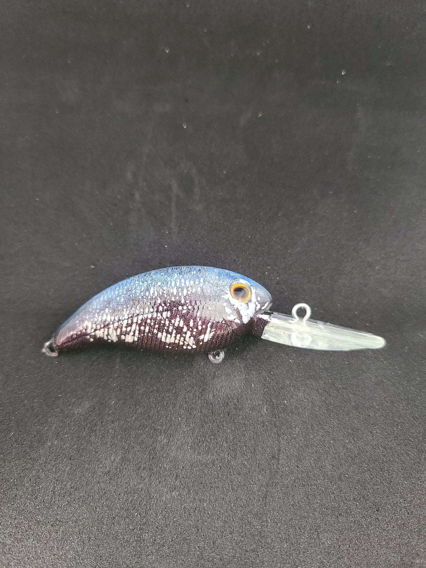 2" inch Medium Dive Crankbait Bruiser Minnow Profile - JQ's ReefShack LLC