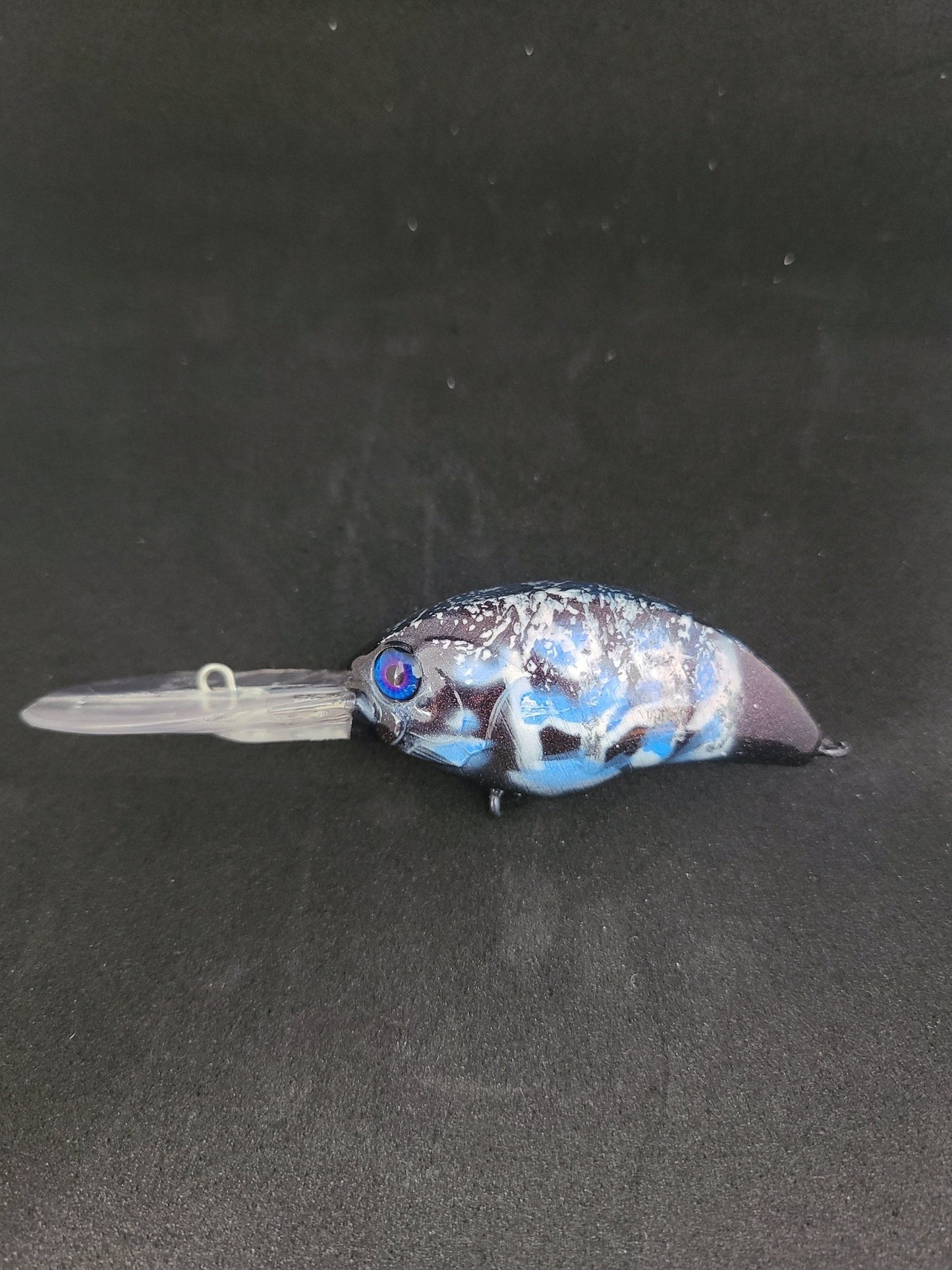 2" inch Medium Dive Crankbait Bruiser Shad Colored - JQ's ReefShack LLC