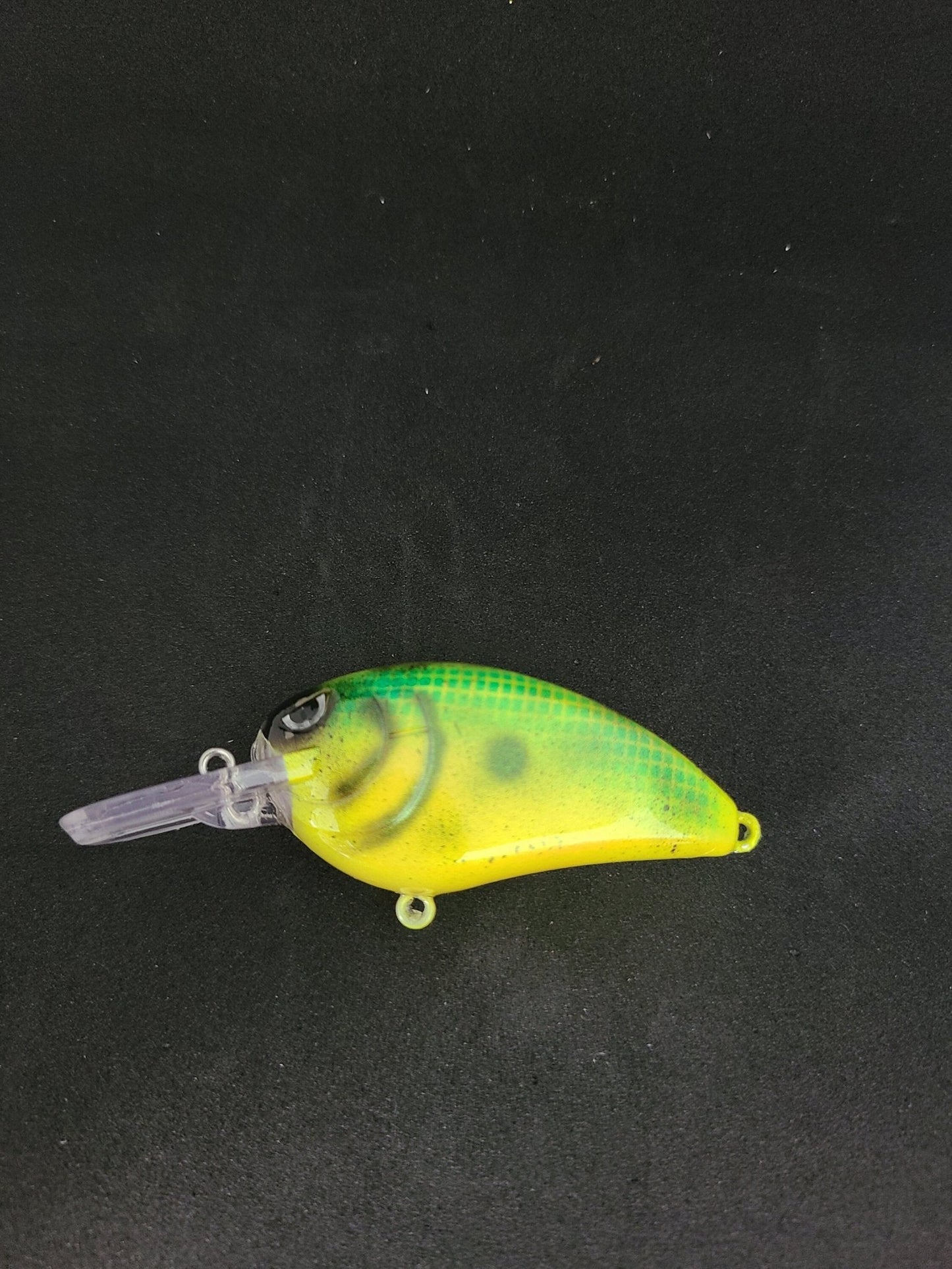 3" Custom Painted Squarebill Crankbait Electric Shad Color - JQ's ReefShack LLC