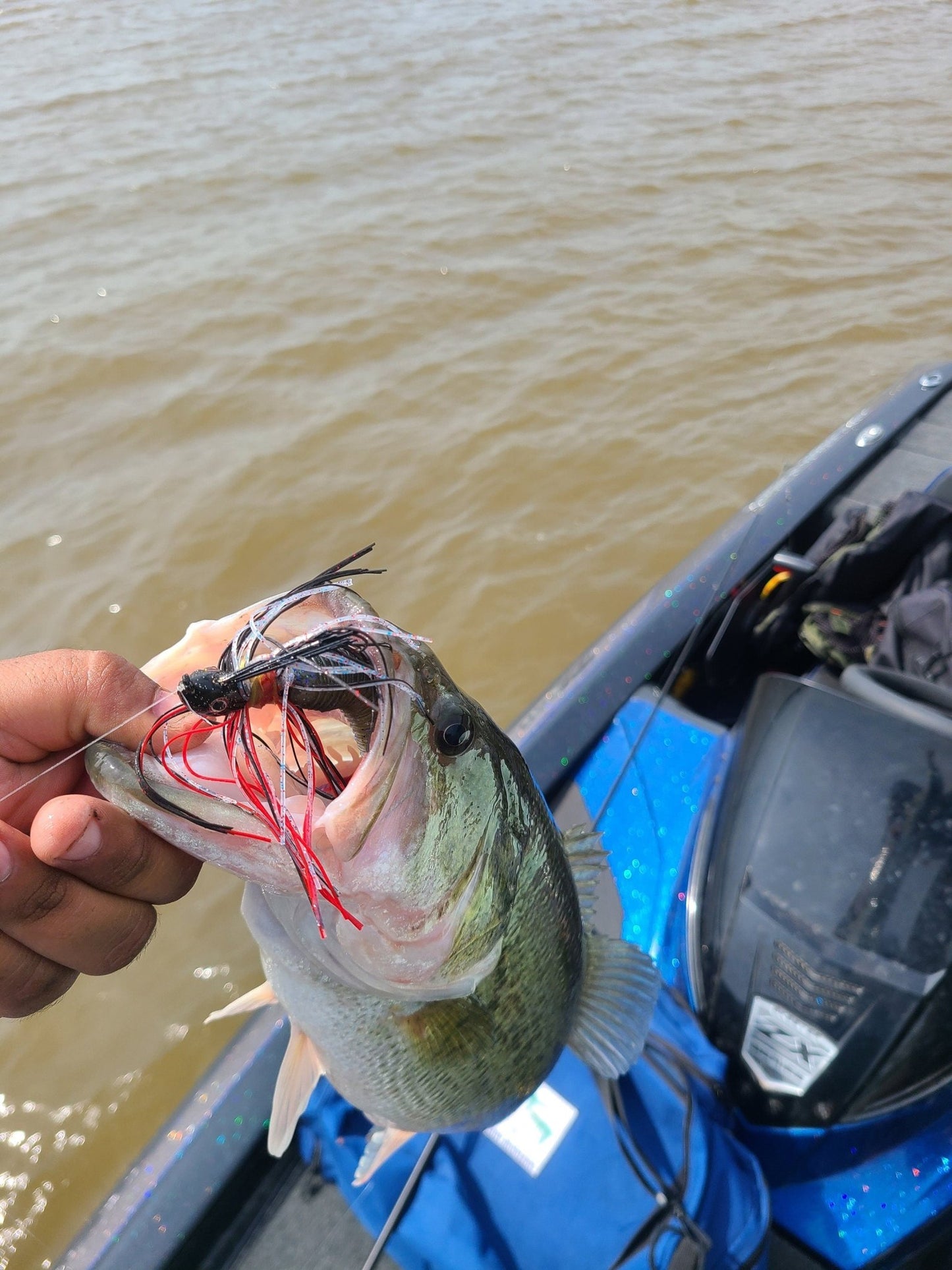 Custom SwimJig Lure 60 Degree 5/0 Hook 1/2 oz - JQ's ReefShack LLC