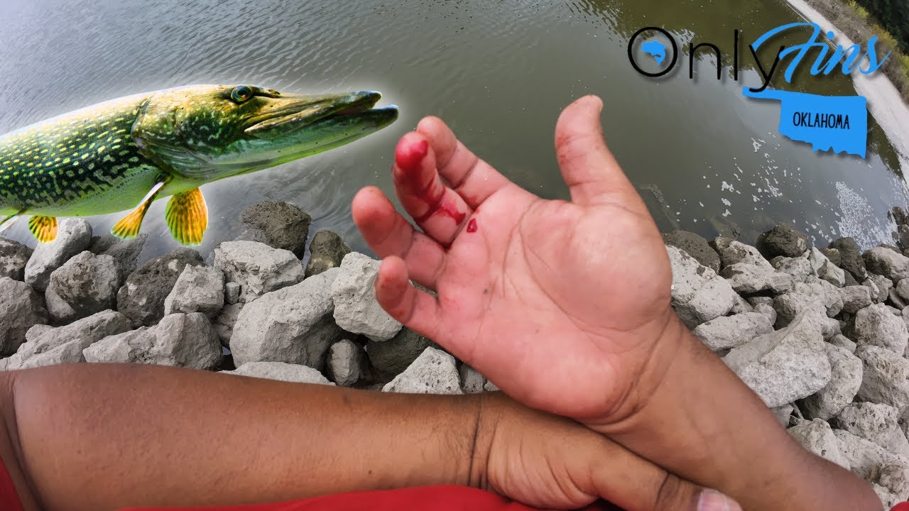 Load video: Bass Fishing Des Moines River