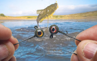 Freestyle Jig 2 Pack (2 jigs with 2 colored eyes)