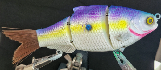 Segmented Swimbait/Glide bait Shad Color