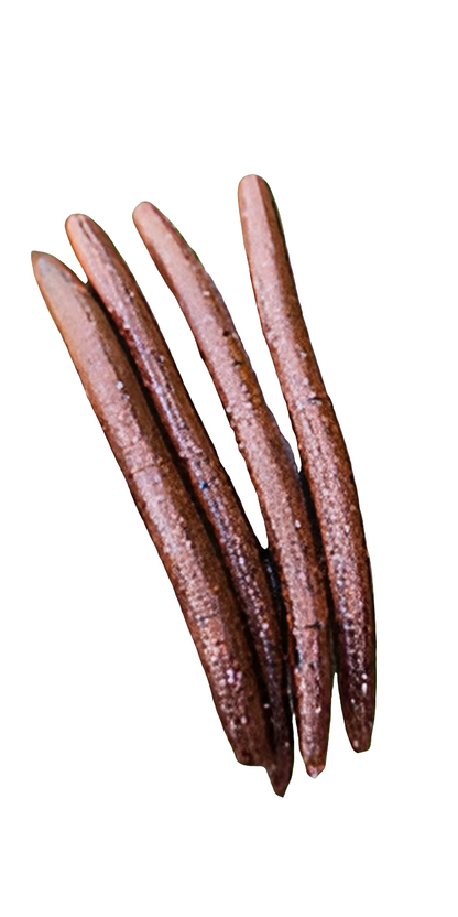 5" Stick Worms Copper Melon Color (8 pack)